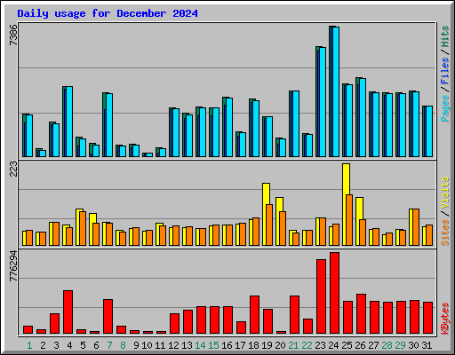 Daily usage for December 2024
