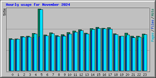 Hourly usage for November 2024