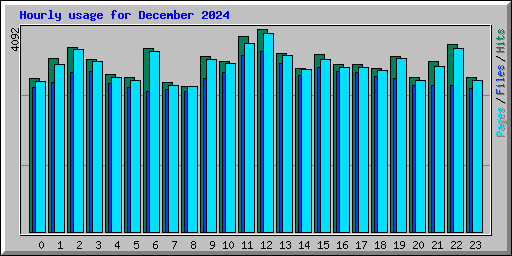 Hourly usage for December 2024