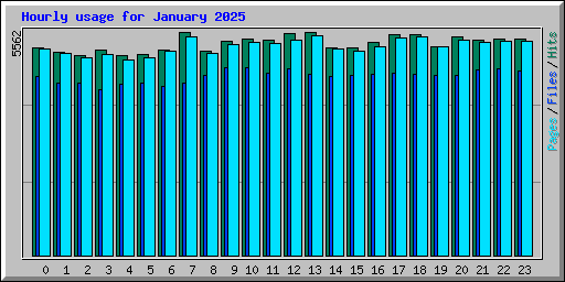 Hourly usage for January 2025
