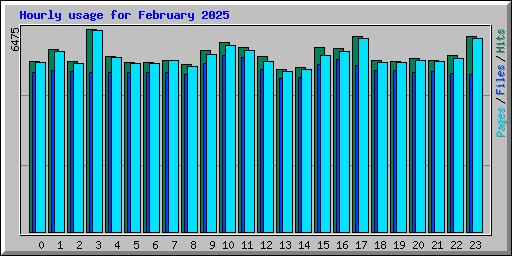 Hourly usage for February 2025