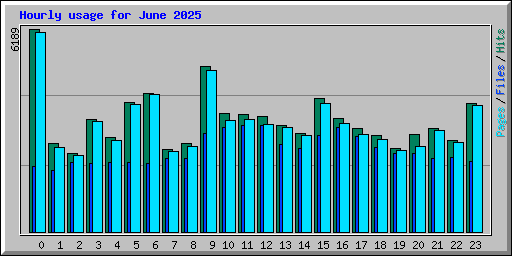 Hourly usage for June 2025
