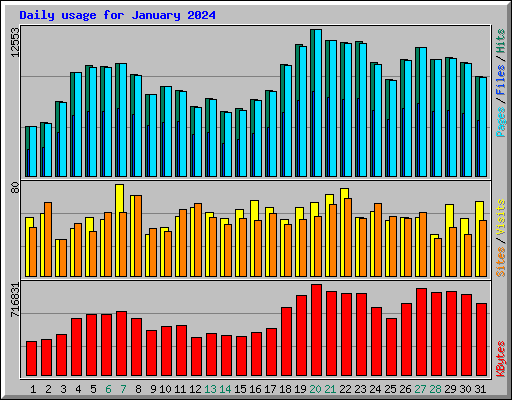 Daily usage for January 2024