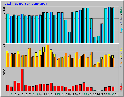 Daily usage for June 2024