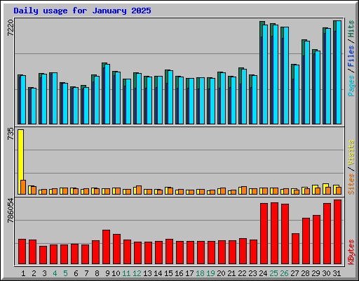 Daily usage for January 2025