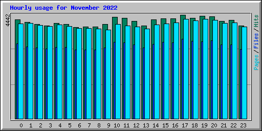 Hourly usage for November 2022