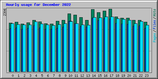 Hourly usage for December 2022