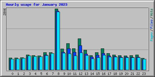 Hourly usage for January 2023