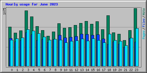 Hourly usage for June 2023