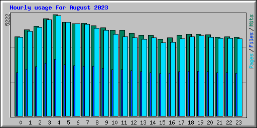 Hourly usage for August 2023