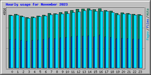 Hourly usage for November 2023