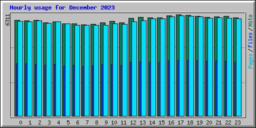 Hourly usage for December 2023