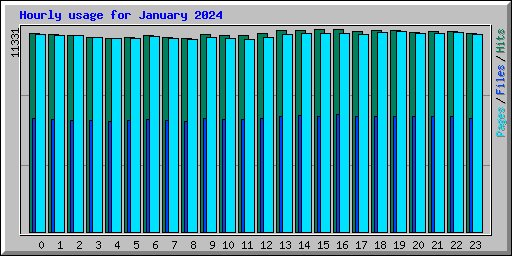 Hourly usage for January 2024