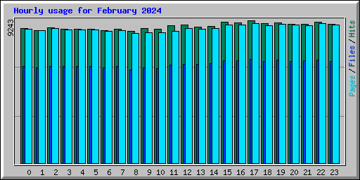 Hourly usage for February 2024