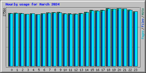 Hourly usage for March 2024