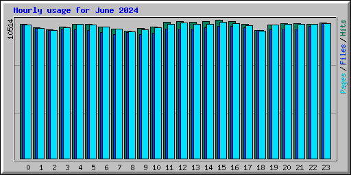 Hourly usage for June 2024