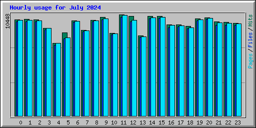 Hourly usage for July 2024