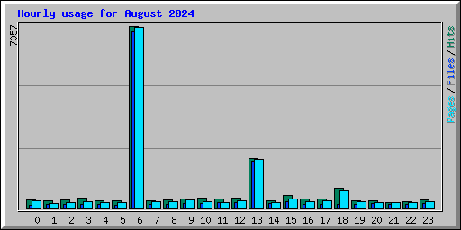 Hourly usage for August 2024