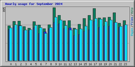Hourly usage for September 2024
