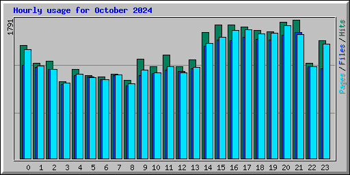 Hourly usage for October 2024