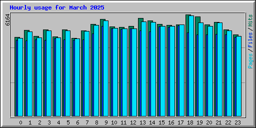 Hourly usage for March 2025