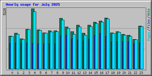 Hourly usage for July 2025