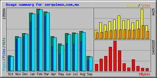 Usage summary for serquimex.com.mx